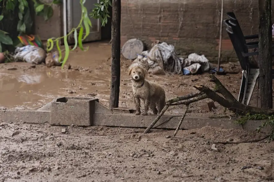 FOTO DE SANTIAGO GIMÉNEZ