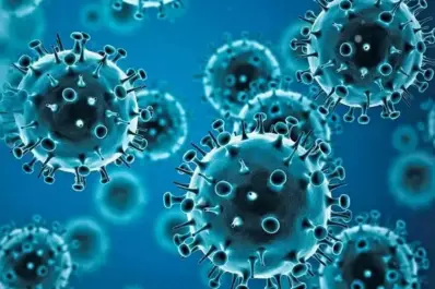 Gripe H3N2: confirmaron la primera muerte en la Argentina por esta variante