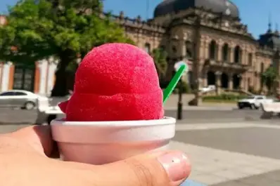 “La ordenanza vinculada a la achilata pone en juego un derecho básico a ganarse la vida”