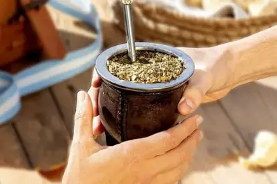 ¿Qué cítrico deberías agregarle al mate para bajar de peso con más facilidad?