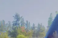 Cómo es la moderna casa de Griselda Sicilaini: ambientes luminosos, arte abstracto y una paleta de colores vibrantes