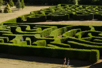 El laberinto más grande de Sudamérica está en Argentina: dónde queda y cómo es el desafío que sorprende a los visitantes