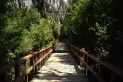 Dos bosques argentinos están entre los mejores destinos para hacer senderismo