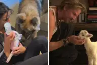 Así es la casa familiar de Facundo Arana y María Susini: estilo campestre con vista al lago y un refugio para animales