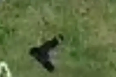 Demoraron a cinco adolescentes con una réplica de arma nueve milímetros en Banda del Río Salí