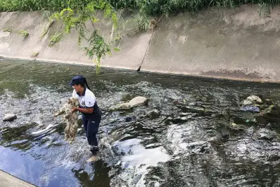 En imágenes: salvan a un perrito que cayó a un canal en el Lago San Miguel