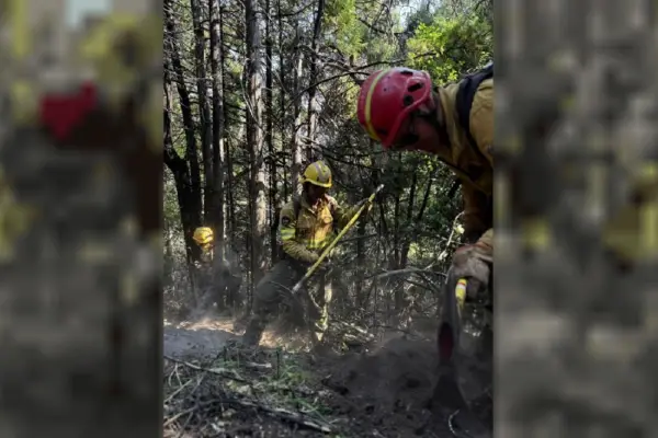 Máxima preocupación por los incendios en Chubut: el fuego avanza sin control