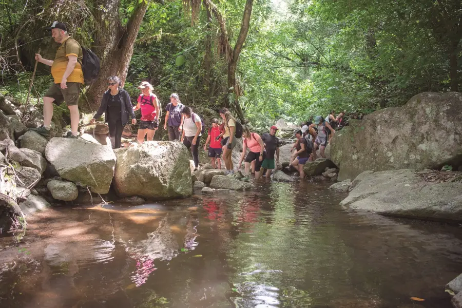 ANDAR EN FILA INDIA. Quienes participaron del viaje hasta el Salto de Bernabé atravesaron distintos desafíos.