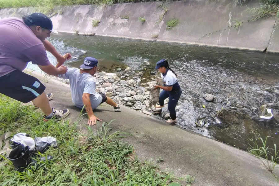 En imágenes: salvan a un perrito que cayó a un canal en el Lago San Miguel
