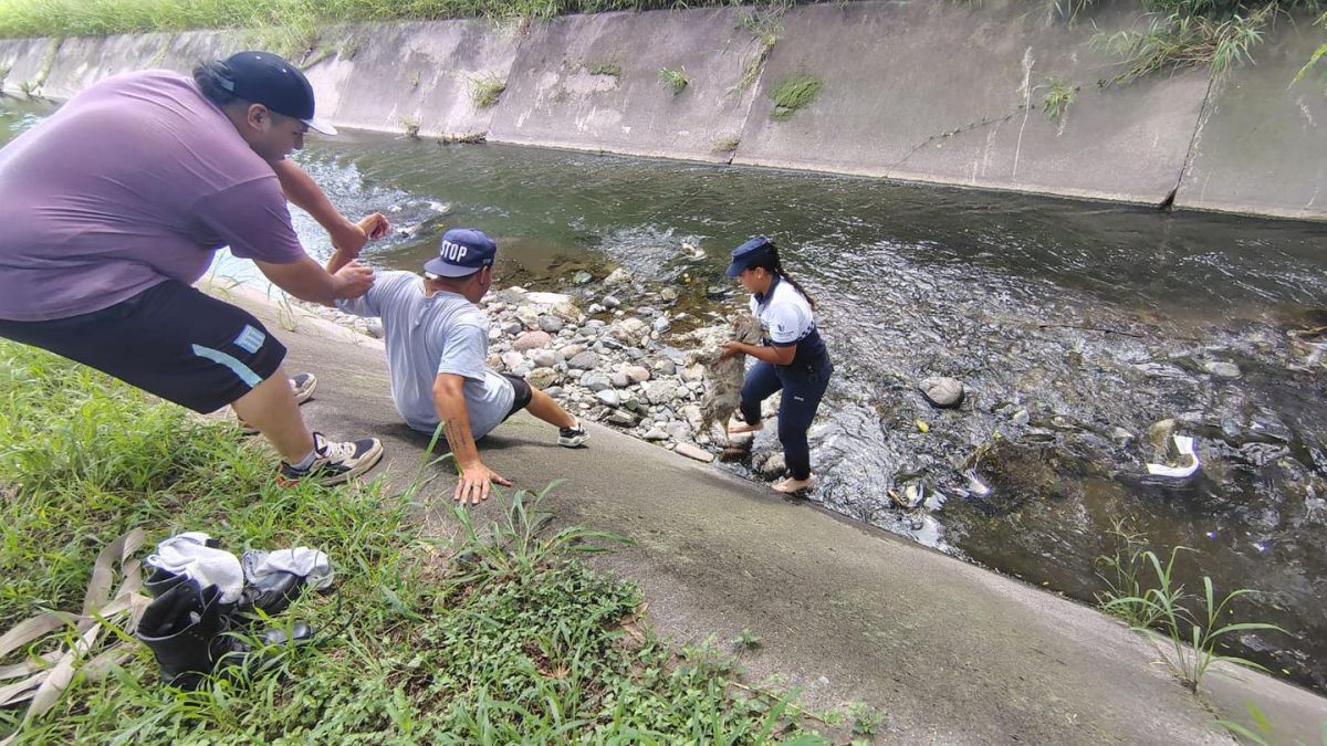 En imágenes: salvan a un perrito que cayó a un canal en el Lago San Miguel