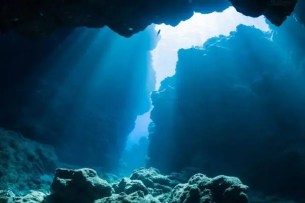 Una anomalía en el océano Pacífico estaría transformando la Tierra: el descubrimiento que desconcierta a la ciencia