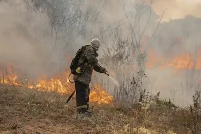 Emergencia ígnea: piden al Congreso que la trate en febrero