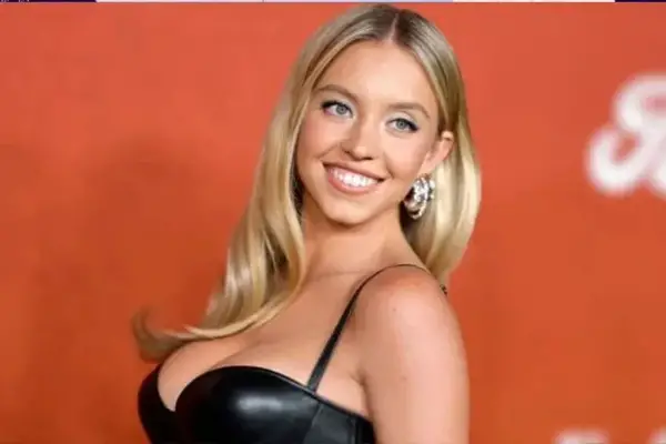 ¿Quién es la actriz que enfrentaría cargos por colgar corpiños en el famoso cartel de Hollywood?