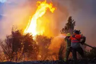 El Gobierno de Milei declaró la emergencia ígnea para las provincias afectadas por los incendios