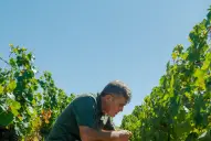 Los secretos del enólogo de Luigi Bosca, elegida como la Mejor Bodega del Nuevo Mundo