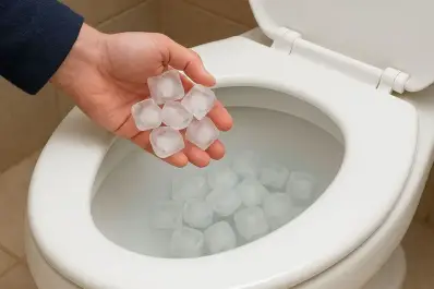 ¿Cubos de hielo al inodoro?: el insólito truco de limpieza que te va a ahorrar tiempo y dinero