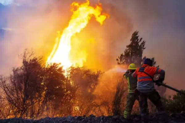 El Gobierno de Milei declaró la emergencia ígnea para las provincias afectadas por los incendios
