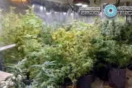 Caso Érika Antonella Sosa: ¿cuáles serían los vínculos del “Militar” Sosa con el narcotráfico?