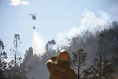 Incendios en la Patagonia: el Gobierno enviará $ 100.000 millones a bomberos voluntarios