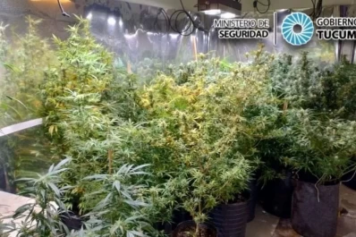 Caso Érika Antonella Sosa: ¿cuáles serían los vínculos del “Militar” Sosa con el narcotráfico?