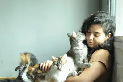 Cierra un histórico refugio felino en Tucumán: la historia de Amores Gatos y los gatos que aún buscan hogar