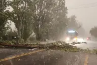 Hay alerta amarilla por tormentas: ¿cuáles son las provincias afectadas?