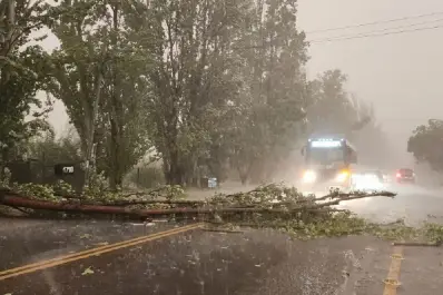 Hay alerta amarilla por tormentas: ¿cuáles son las provincias afectadas?