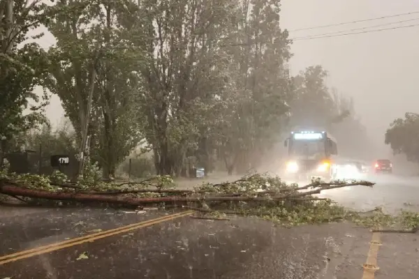 Hay alerta amarilla por tormentas: ¿cuáles son las provincias afectadas?