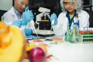 La carrera universitaria que tiene salida laboral en el exterior y casi nadie elige