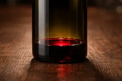 El truco del congelador: por qué nunca deberías tirar el vino sobrante y cómo usarlo