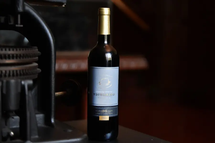 POTENTE. Soria Prado recomienda abrir el vino una hora antes de consumirlo. LA GACETA/FOTO DE MARÍA SILVIA GRANARA