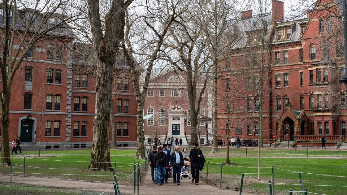 HARVARD. Una de las Universidades más prestigiosas del mundo. 