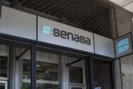 El Senasa difundió un nuevo formato para la Afidi