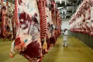 Ganadería: el cupo anual de carne bovina argentina a EEUU será de 100.000 toneladas