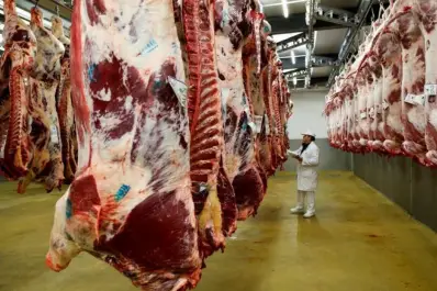 Ganadería: el cupo anual de carne bovina argentina a EEUU será de 100.000 toneladas
