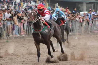 Con Remanente como gran figura, vuelve el turf al hipódromo tucumano