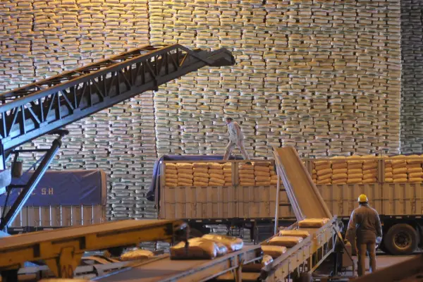 Período 2025/2026: el NOA superó las 500.000 toneladas de azúcar exportadas