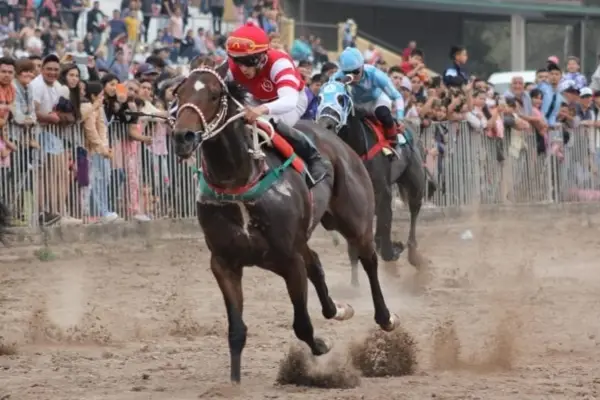 Con Remanente como gran figura, vuelve el turf al hipódromo tucumano