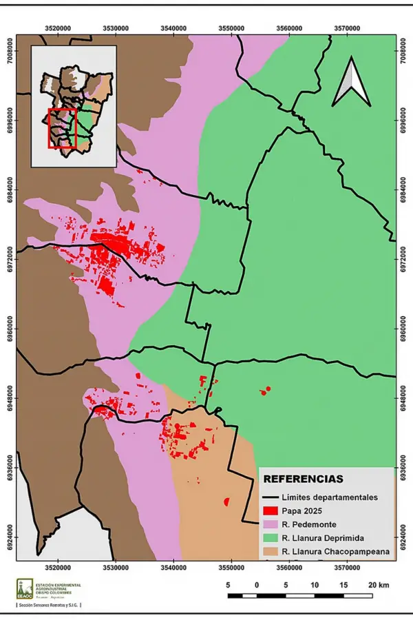 La superficie cultivada con papa en Tucumán superó las 9.000 hectáreas en la campaña 2025