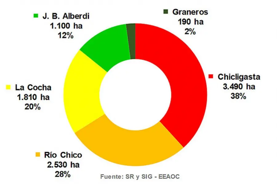 La superficie cultivada con papa en Tucumán superó las 9.000 hectáreas en la campaña 2025