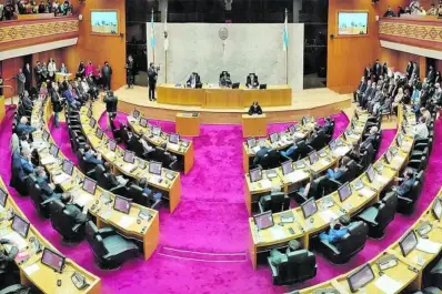 Defensor del Pueblo: opositores piden un ombudsman independiente