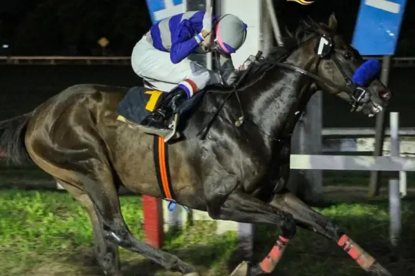 Show Goes On tuvo un arranque demoledor y ganó el especial Apertura