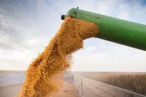 Balance positivo: el año cerró con un registro de exportaciones en alza