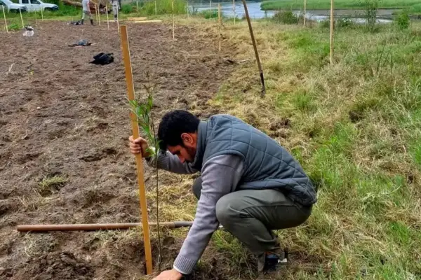 Árboles y crecientes: volver al origen