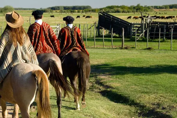 Un viaje al campo, la memoria y la identidad