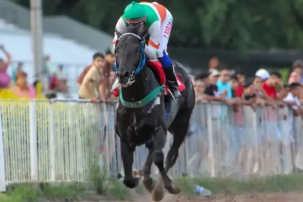 La temporada turfística toma vuelo con el regreso del campeón