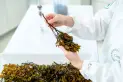 Del mar al campo: tecnología sustentable y rentable al servicio del productor