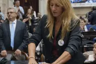 Martín Menem no descarta el desafuero de Florencia Carignano tras los incidentes en Diputados