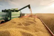 Conflicto en Medio Oriente: el campo sufrirá una fuerte suba de precios de insumos