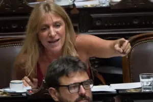 El bloque de La Libertad Avanza pidió la expulsión de Florencia Carignano tras desconectar los cables del sistema taquigráfico en plena sesión